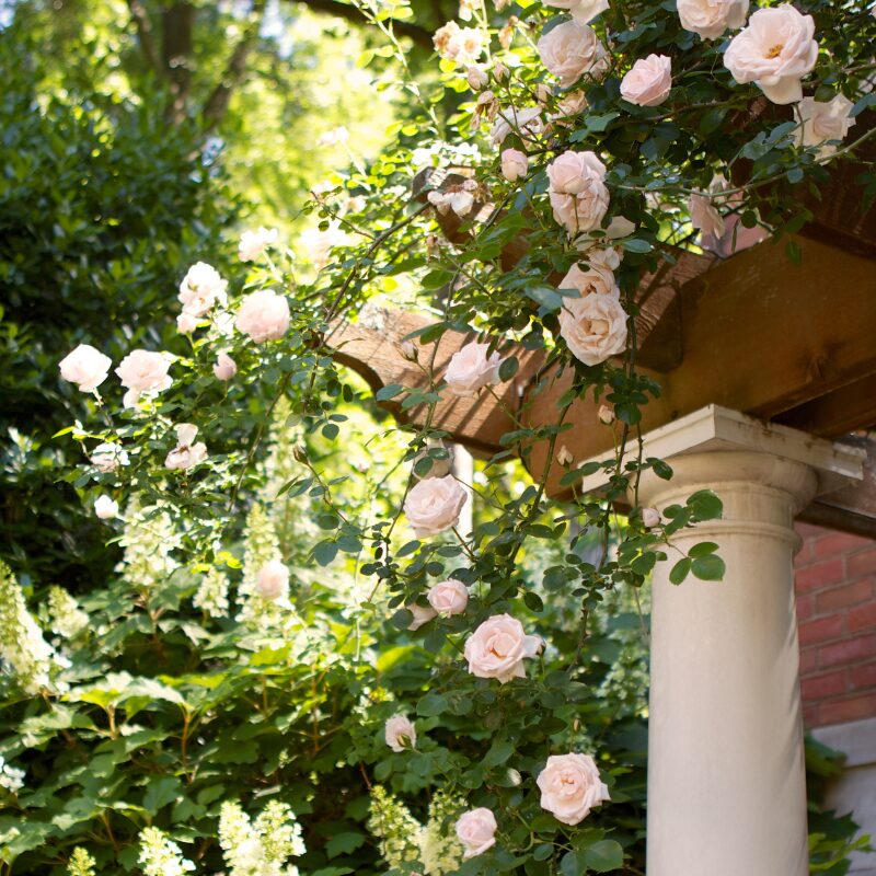 JALA Jeff Allen Landscape Architecture logo